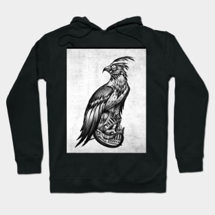 war raven Hoodie